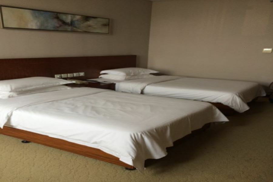 Nanjing Expo Center Hotel Eksteriør billede