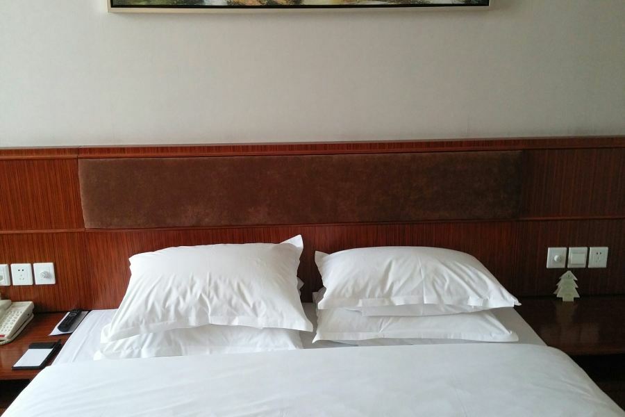 Nanjing Expo Center Hotel Eksteriør billede