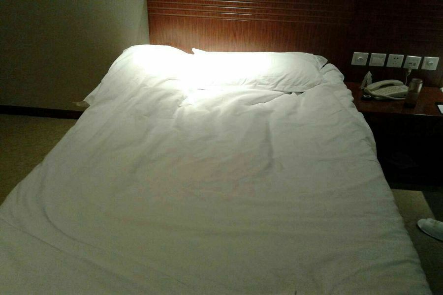 Nanjing Expo Center Hotel Eksteriør billede